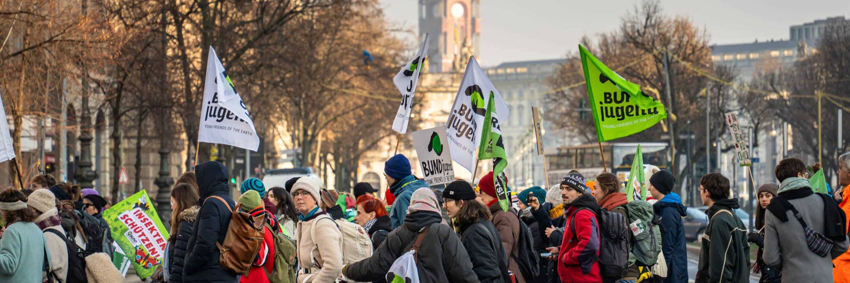 Demonstration mit Flaggen auf einer Straße.