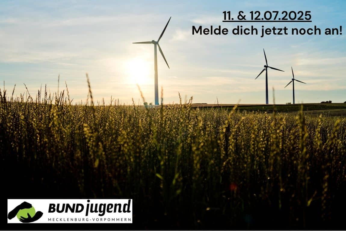 Windräder im Sonnenuntergang, Eventankündigung 11.-12.07.2025