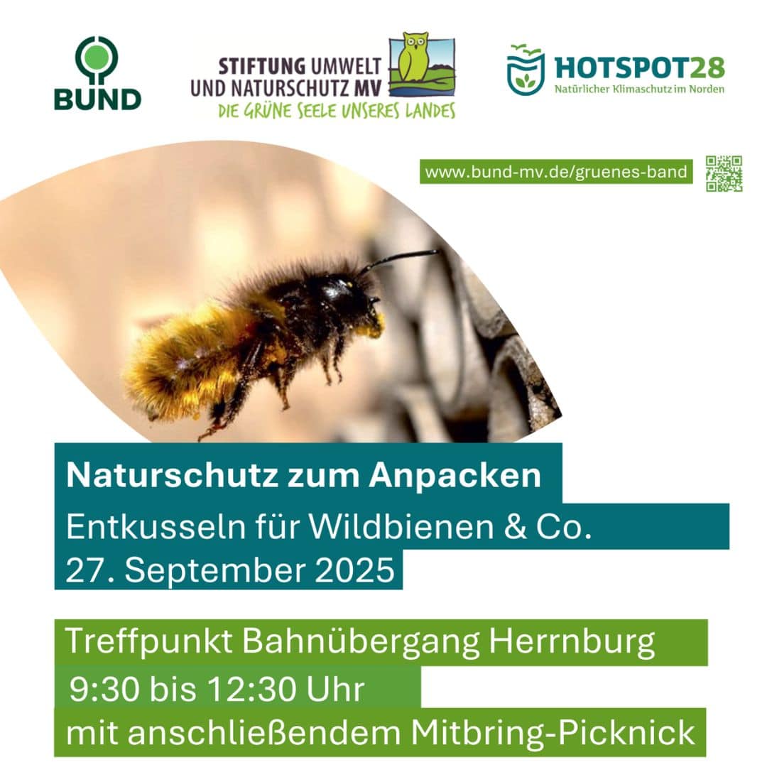 Entbuschungsaktion für und Bienen am 27. September.