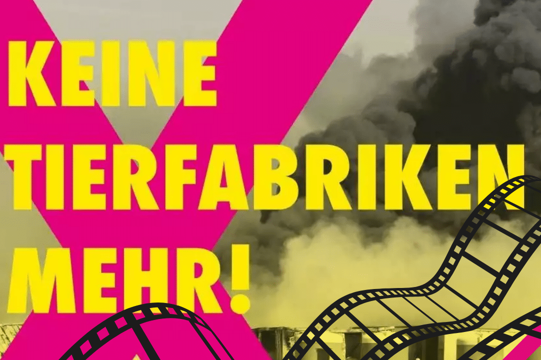 Filmabend gegen Tierfabriken Poster